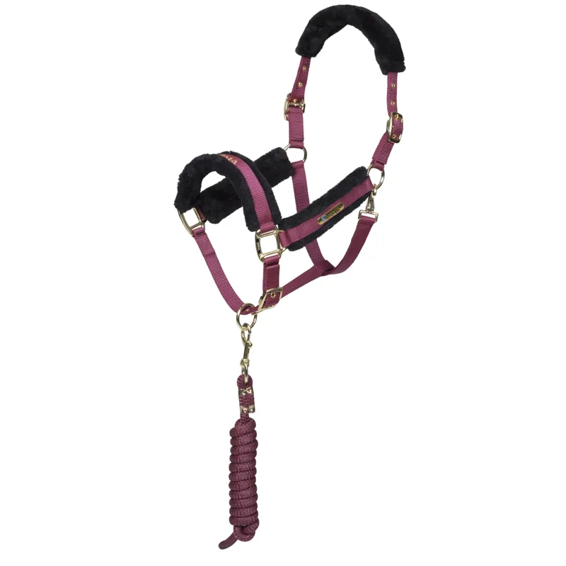 Shires Arma Logo Headcollar and Leadrope - Burgundy